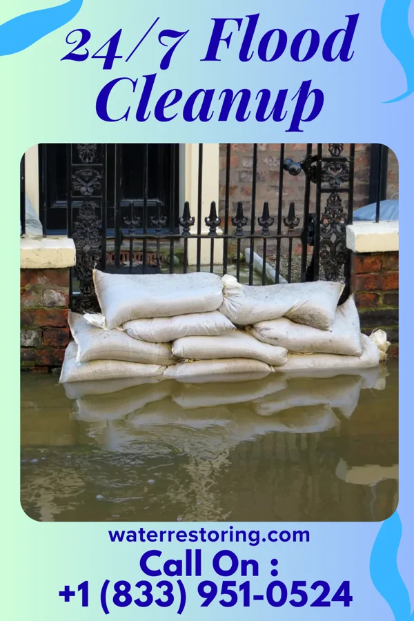 24/7 Flood Cleanup in Hollymead, VA