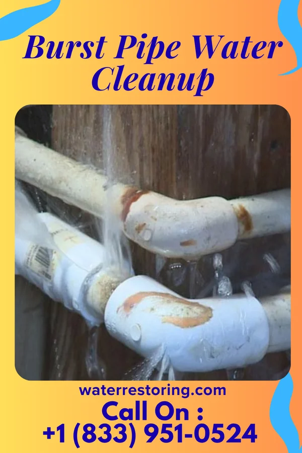 Burst Pipe Water Cleanup in Hollymead, VA