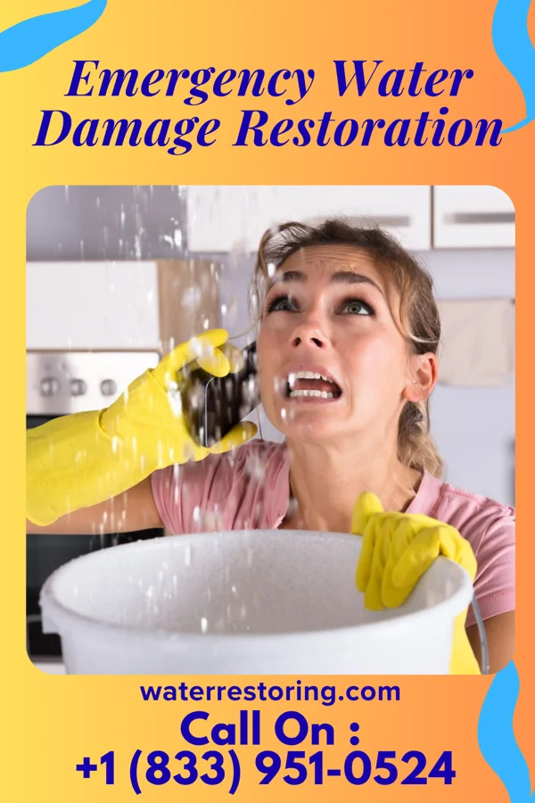 Emergency Water Damage Restoration in Hollymead, VA