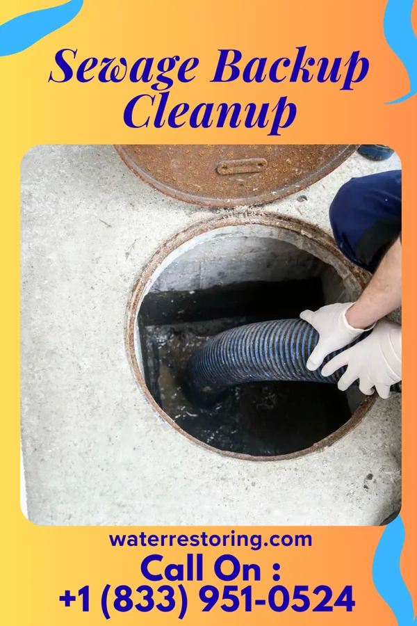 Sewage Backup Cleanup in Hollymead, VA
