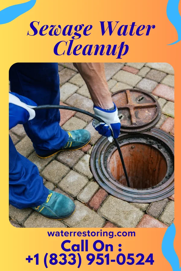 Sewage Water Cleanup in Hollymead, VA