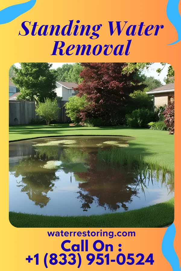 Standing Water Removal in Hollymead, VA